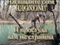 Холода. Другая жизнь. Глубокий вдох. Простуда лечение