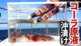 生きたイカをコーラ原液に沖漬けして食べてみた
