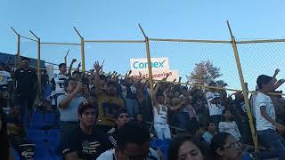 Pumas Unam V.S Celaya F.C ⚽ Pumas Unam V.S Celaya F.C ⚽