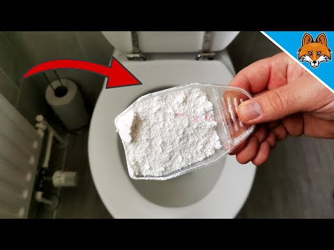 Kippe WASCHPULVER in deine Toilette und STAUNE über das ERGEBNIS 💥