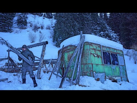 Video: Тоодогу үндүк же Кавказ кар курагы. Тоо Түркия кайда жашайт, сүрөттөр жана негизги маалымат