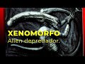 XENOMORFO el ALIEN DEPREDADOR , desde lo profundo del ESPACIO.  Película OCTAVO PASAJERO y PROMETEO