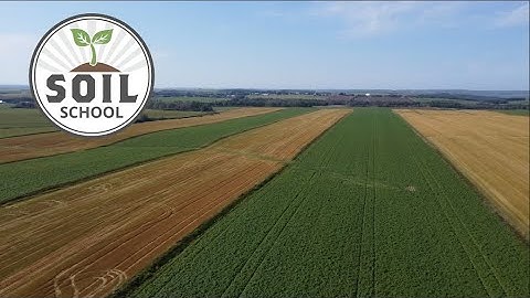 Soil School: Unlocking nutrients for potato production