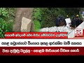 පහළ|sin
