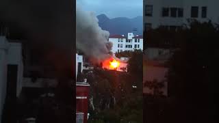 VID 20191026 WA0003 1