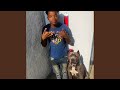 Dog Ha Out