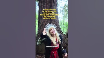 A song for nature lovers #naturelover #forest #redwoods #witchymusic