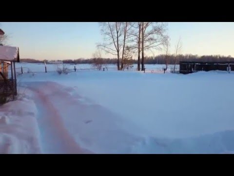 Бабочки зимуют с пчелами или посещение зимовника