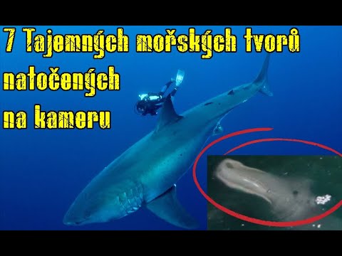 7 Tajemných mořských