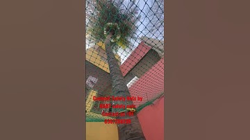 #coconut safety nets #balcony safety nets # pigeon safety nets