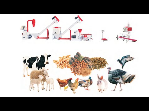 Demonstration of Poultry Feed Pellet production