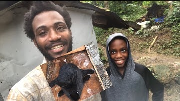 Complications of Inbreed in Rabbits/First Visiter on the farm 😁😉