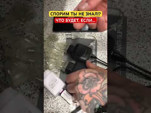СПОРИМ ТЫ НЕ