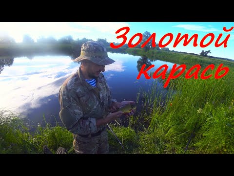 Ловля старой доброй поплавочной удочкой. Карасиная рыбалка на живописном озере.