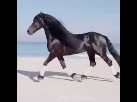 الله يادنيا كلمت كل عام وانت بخير مانسواها منهم