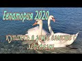 Купаюсь в море вместе с лебедями. Евпатория 2020. Новый пляж сегодня.ул.Симферопольская. Крым 2020