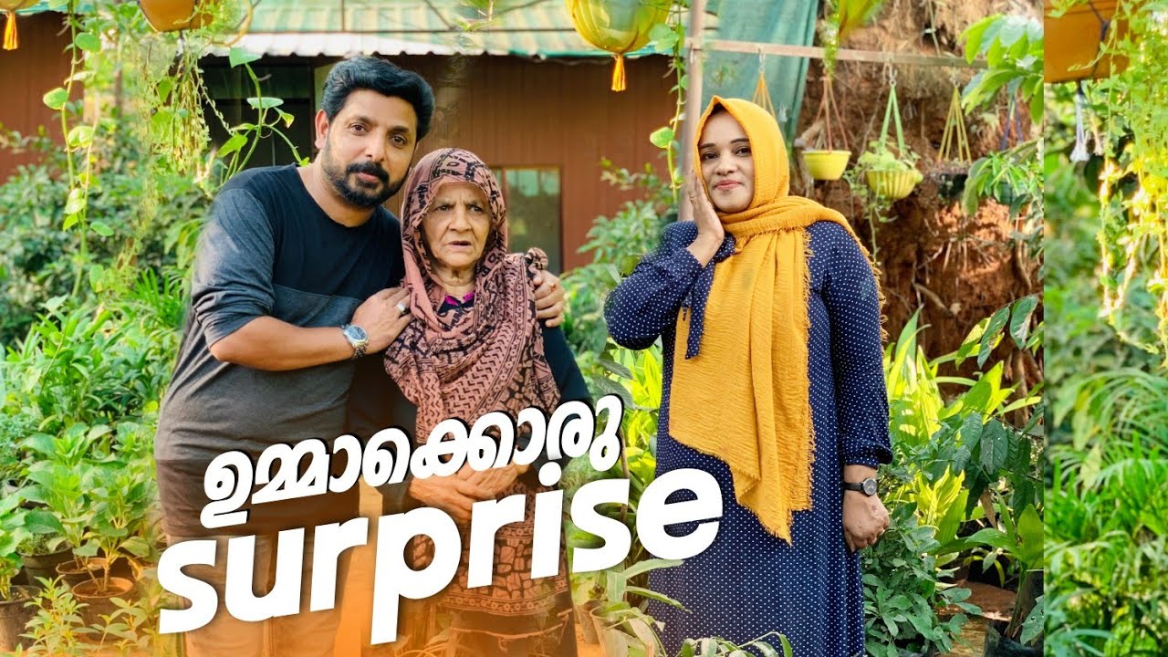 മൈനമ്മാന്റെ ഒരു പൊലിവ് 😅//SHAS DOT COM