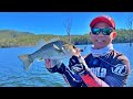 Fishing Rapala CrushCity Soft Bait At Hinze Dam