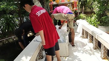 Aun พี่อั๋น ถ.จันทร์ - Project พิเศษ เตรียมการ Packing ปลาคาร์พ x 15