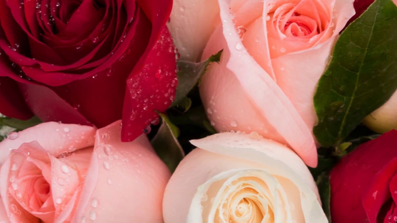 La Fleur Florería YouTube