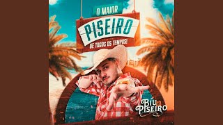 Faz a Pose Olha o Flash (feat. Dj Serpinha)