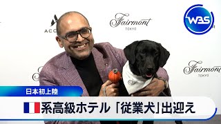 仏系高級ホテル 「従業犬」出迎え　日本初上陸【WBS】