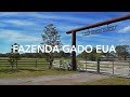 Fazenda de Gado à Venda na Florida EUA | 233 Hectares | FLAVIP.com