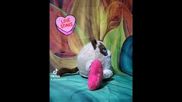 Grumpy Cat Valentines Day Love Stinks Animated Spins & Dances Plush Heart
