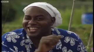 cocktail video