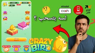 مراجعة لعبة Crazy Bird | والسحب فودافون كاش ❗ screenshot 1