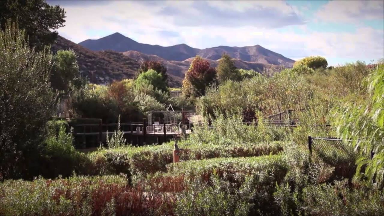 Shambala Wildlife Preserve: sanctuary for exotic animals