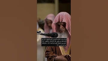 تلاوة خاشعة للشيخ علي الحذيفي