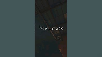تـِلاوة مِـن سُـورة النساء || القارئ : هيثم الدخين
