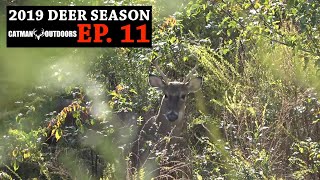 Hunting in a Bedding Area - 2019 Deer Season, Ep. 11 screenshot 2