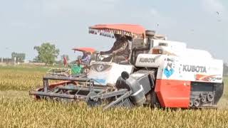 great machine Kubota DC 70 plus operator working skills 5#farming #kubota