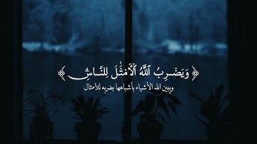 القارئ شريف مصطفى,سورة النور,اكتب شي تؤجر عليه🤲