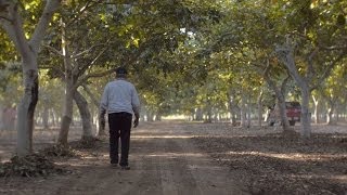 Diamond of California Nuts: Family-Owned Farms.