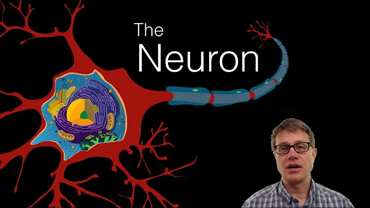 The Neuron - 天天要闻