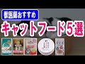 獣医師おすすめのキャットフード５選｜良質な猫のご飯