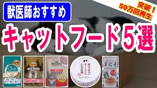 獣医師おすすめのキャットフード５選｜良質な猫のご飯