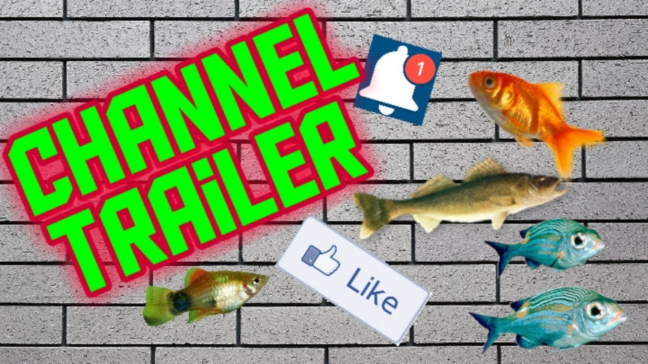 camera iphone 8 plus apk CHANNEL TRAILER
