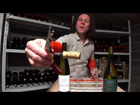 Video: Kje Piti Belo Vino V Dolini Willamette