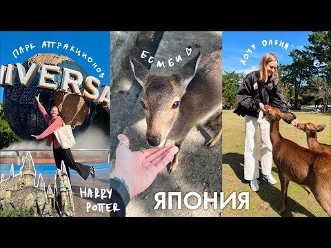 Видео: НАРА И ОСАКА: ОЛЕНИ и ПАРК UNIVERSAL | ЯПОНИЯ ВЛОГ | Karolina K