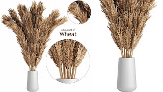 A bouquet of Wheat - N-3 Plants Modeling - Autodesk 3ds Max & GrowFX