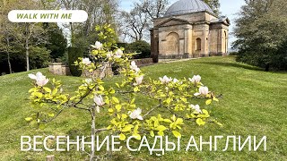 Vlog. Гуляем по красивейшим садам. Супермаркет в Англии.