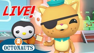 🔴 Live! - Octonauts | Wonderful Sea Creatures