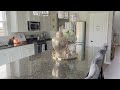 Middle of video