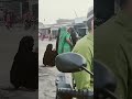Muharram Khadda kushinagar kurbaniya
