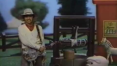 Life Sucks Then You Die - The Fools