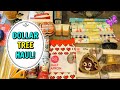 DOLLAR TREE HAUL!  New WILTON FINDS!  December 14, 2020  #LeighsHome